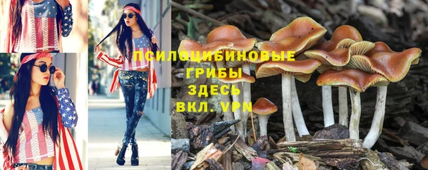 MESCALINE Ельня