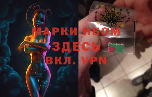 хмурый Елизово
